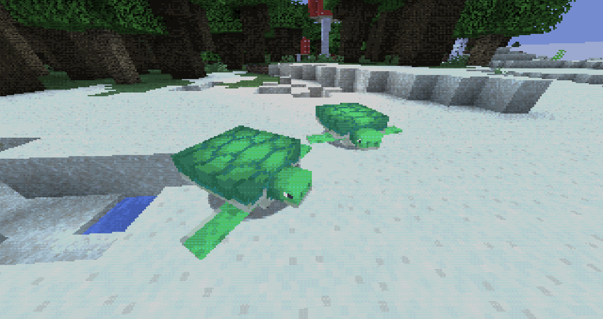 turtles