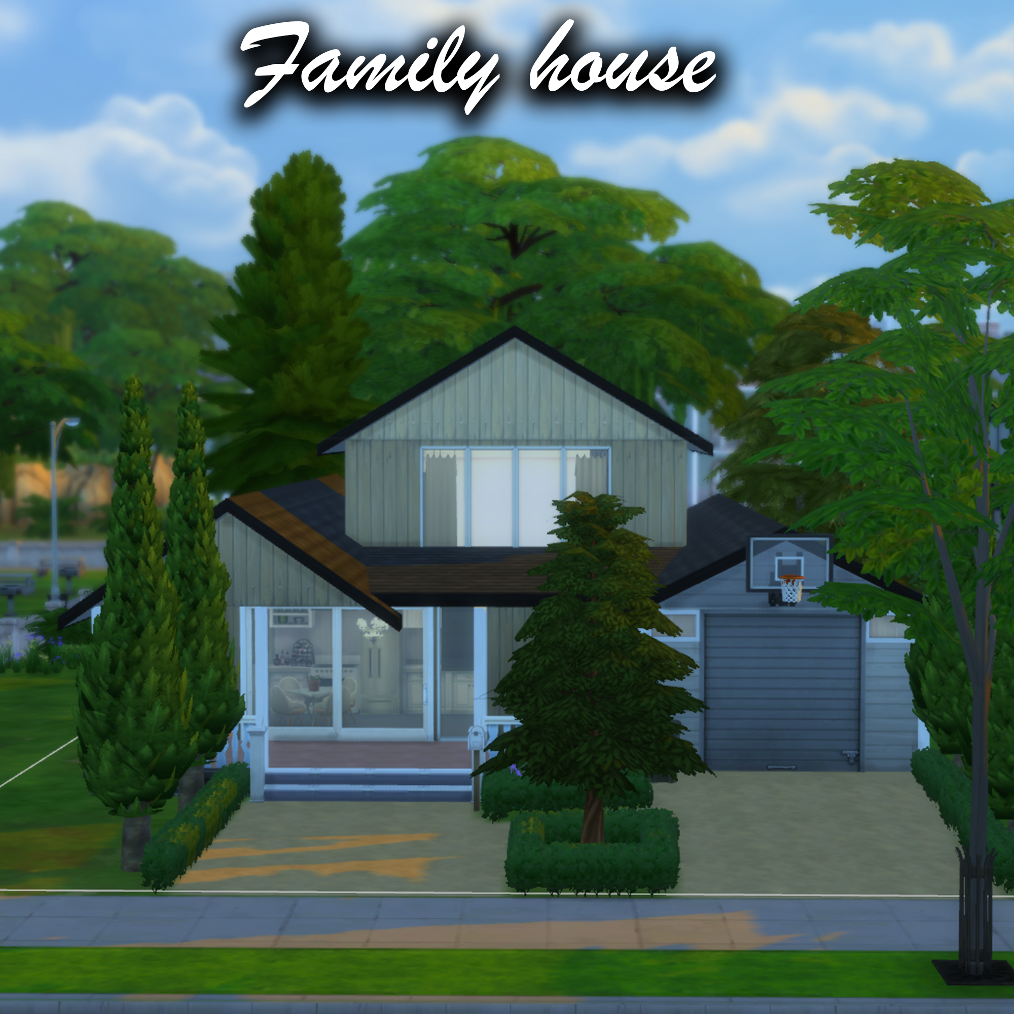 A house for a big family