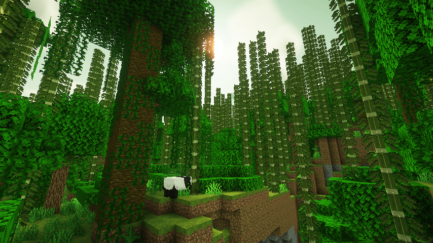 jianmei bamboo forest.png