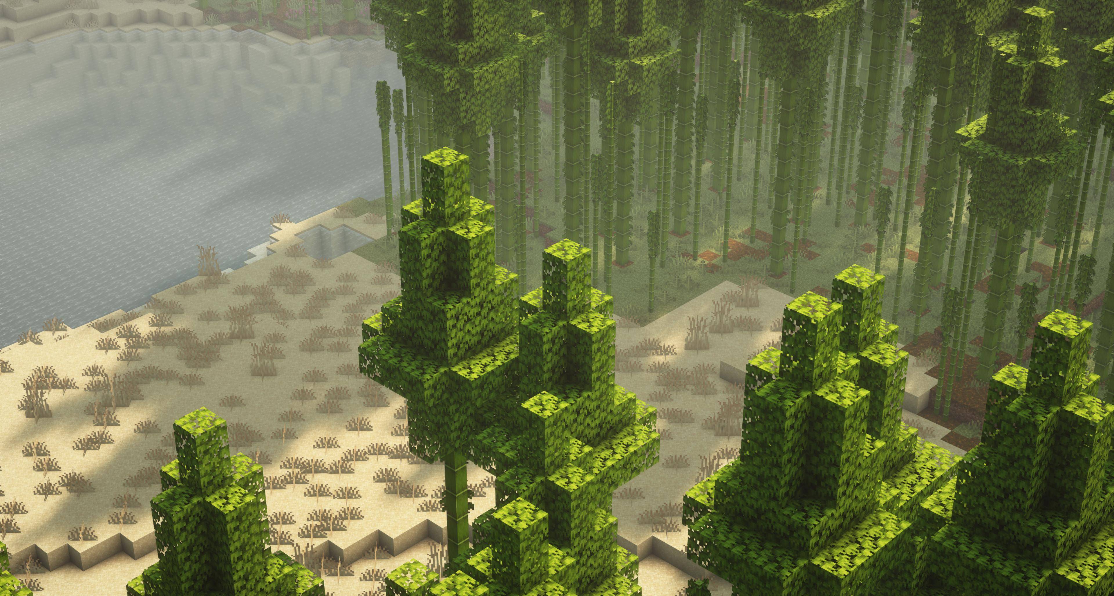 Thumbnail Bamboo Forest Biome with Grassy Beach and river