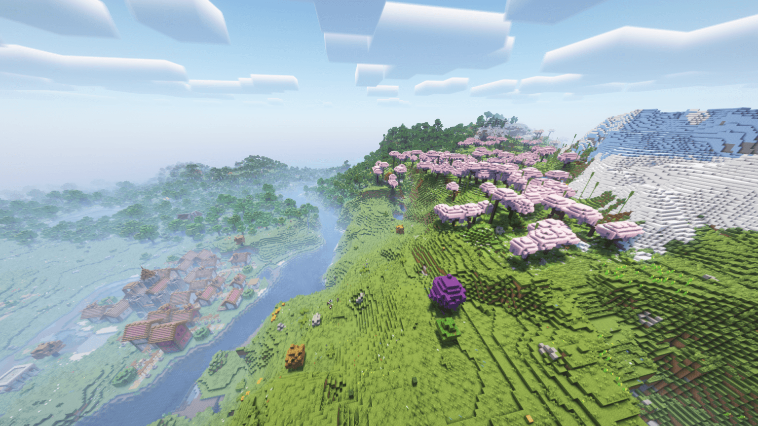 Cherry blossom next to village