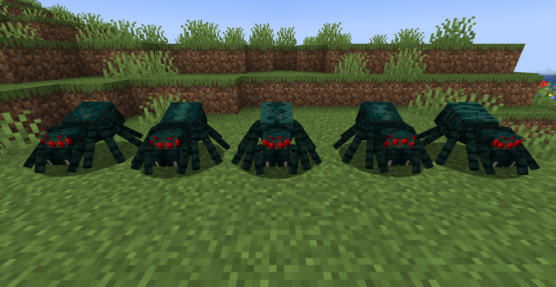 Some Cave Spiders