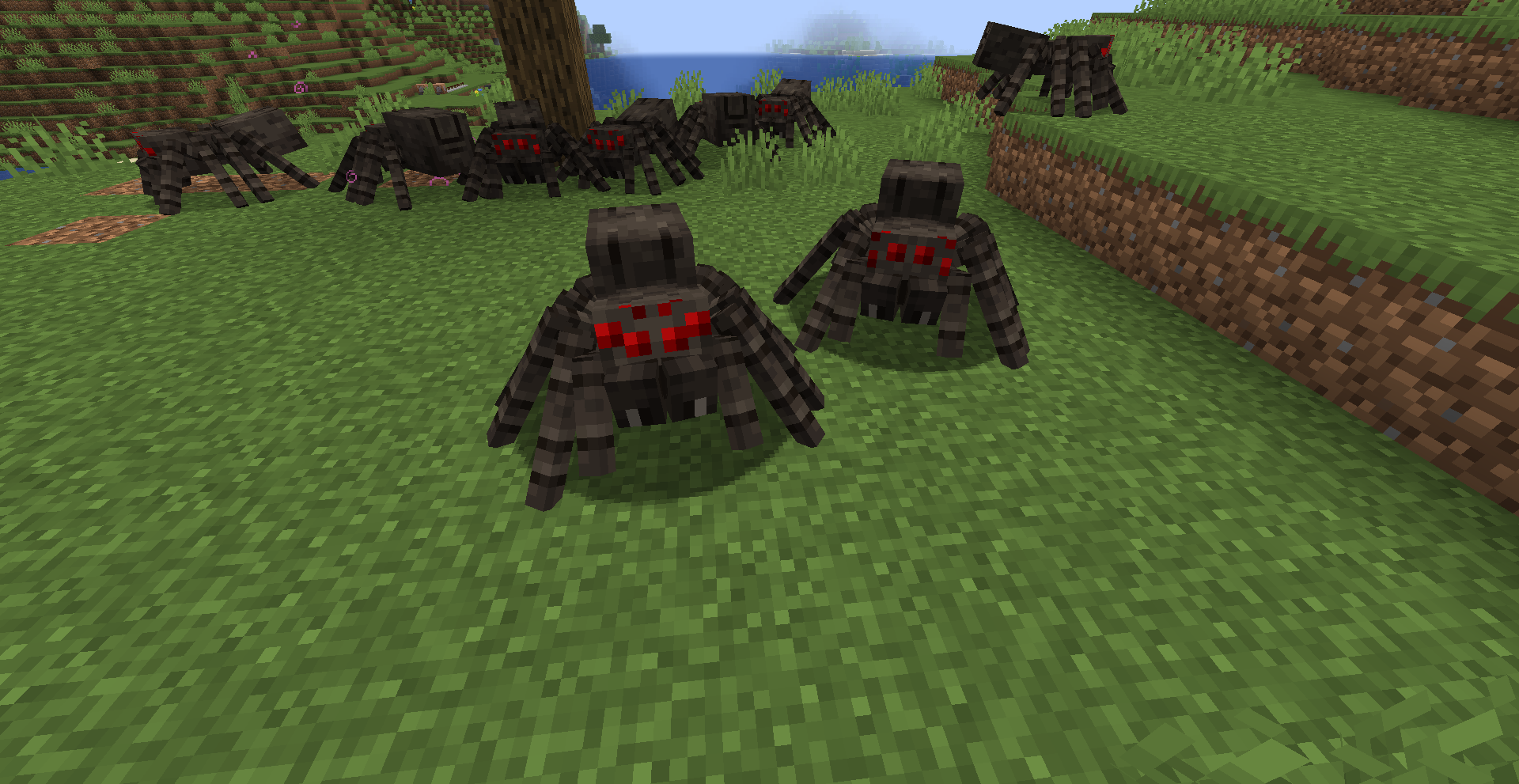 Fresh Spiders