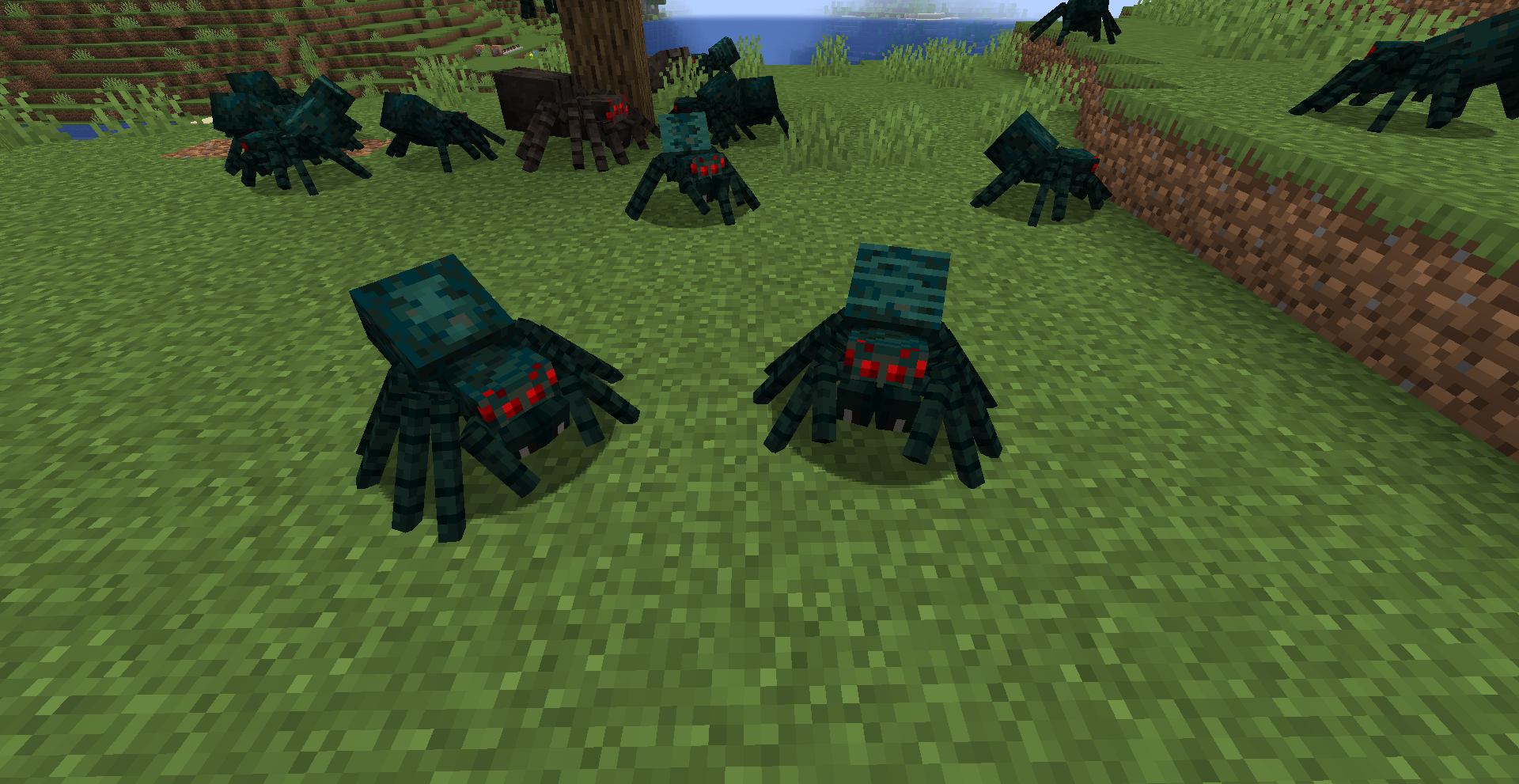 Fresh Cave Spiders