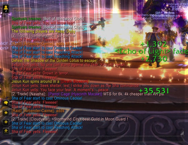 <p>ScreenShot while killing Sha of Fear</p>