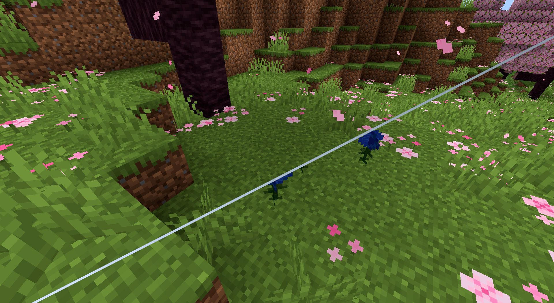 There was an image of blue roses but smth went wrong =(