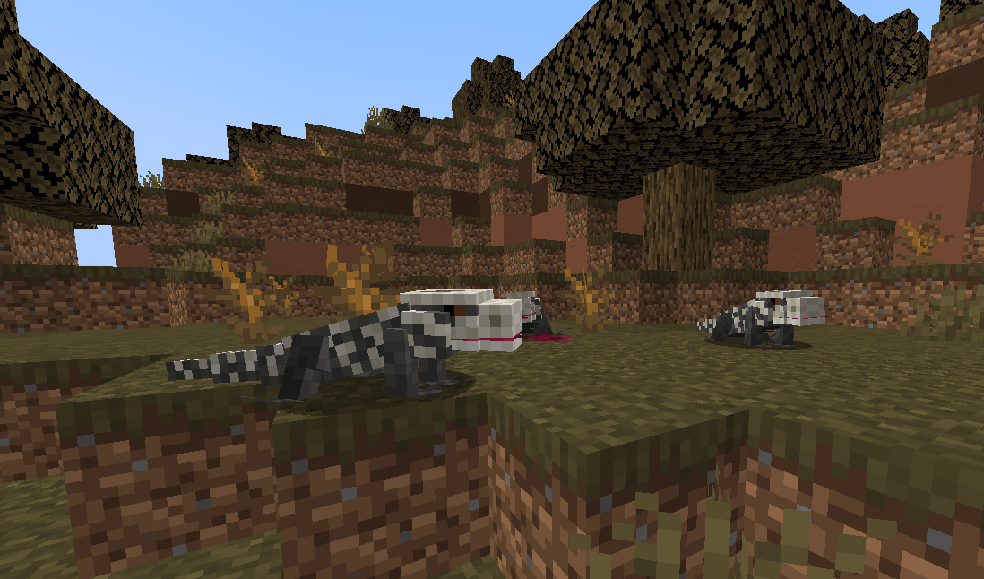 Tegu