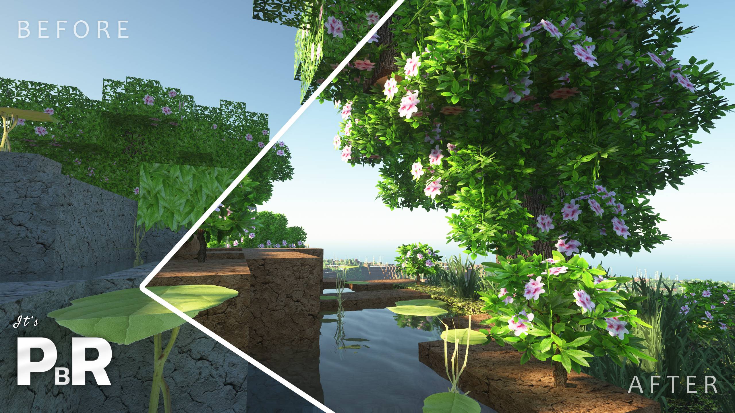 Biome Overhaul Before & After!
