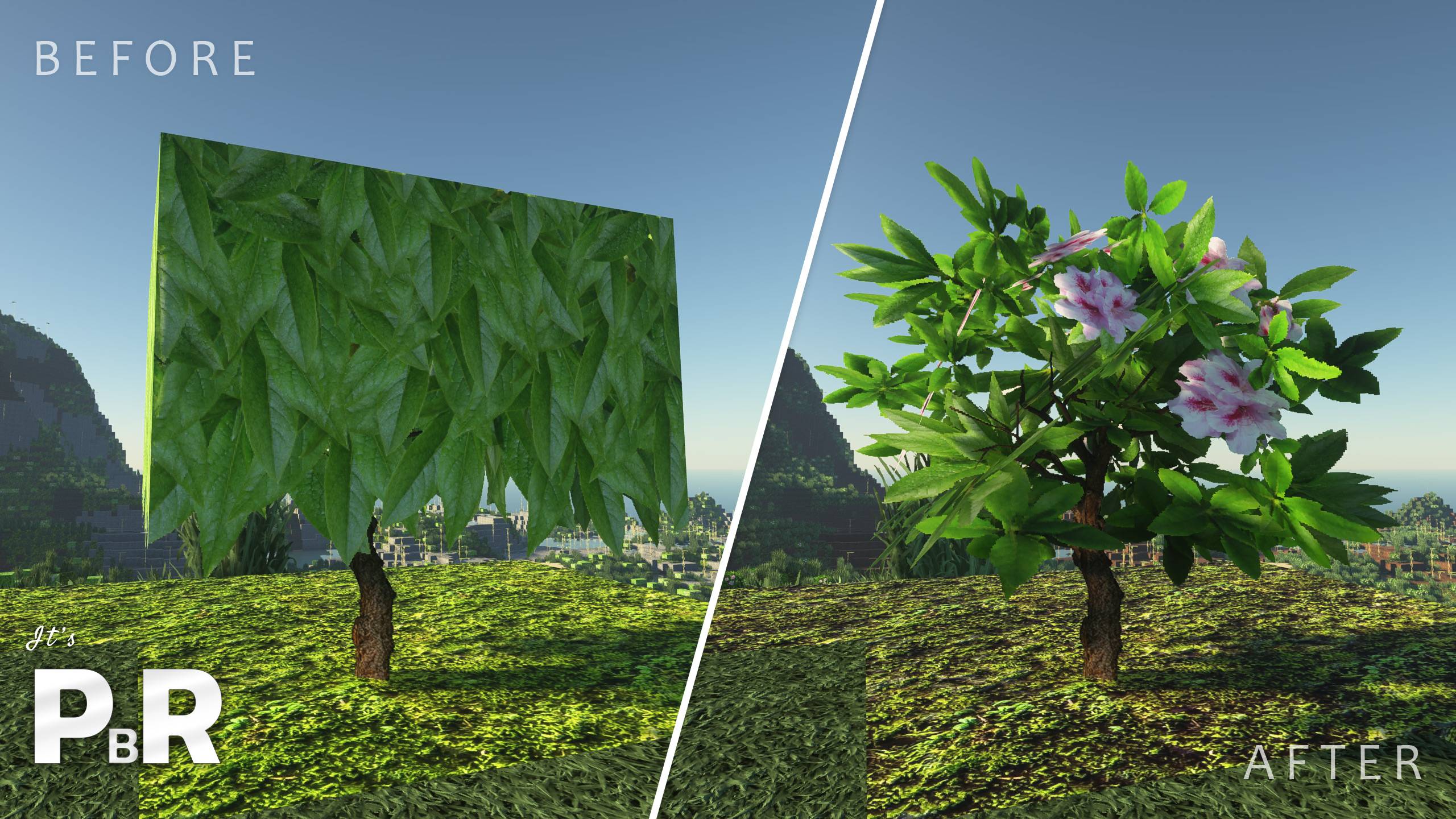 Azalea Before & After update!