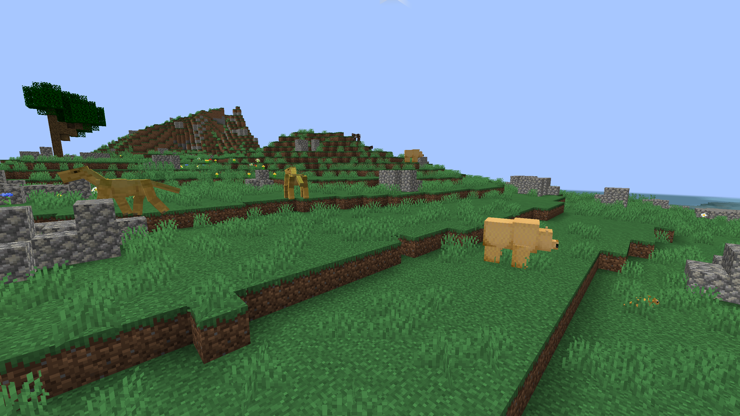 Bright Grassland