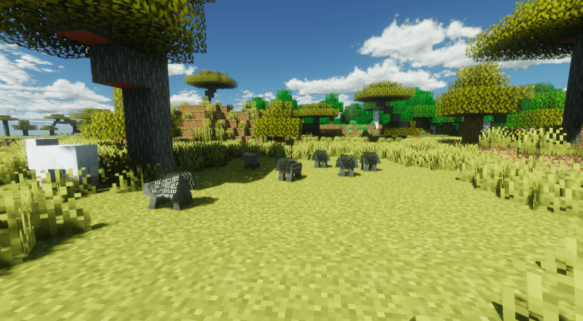 Thumbnail Porcupines