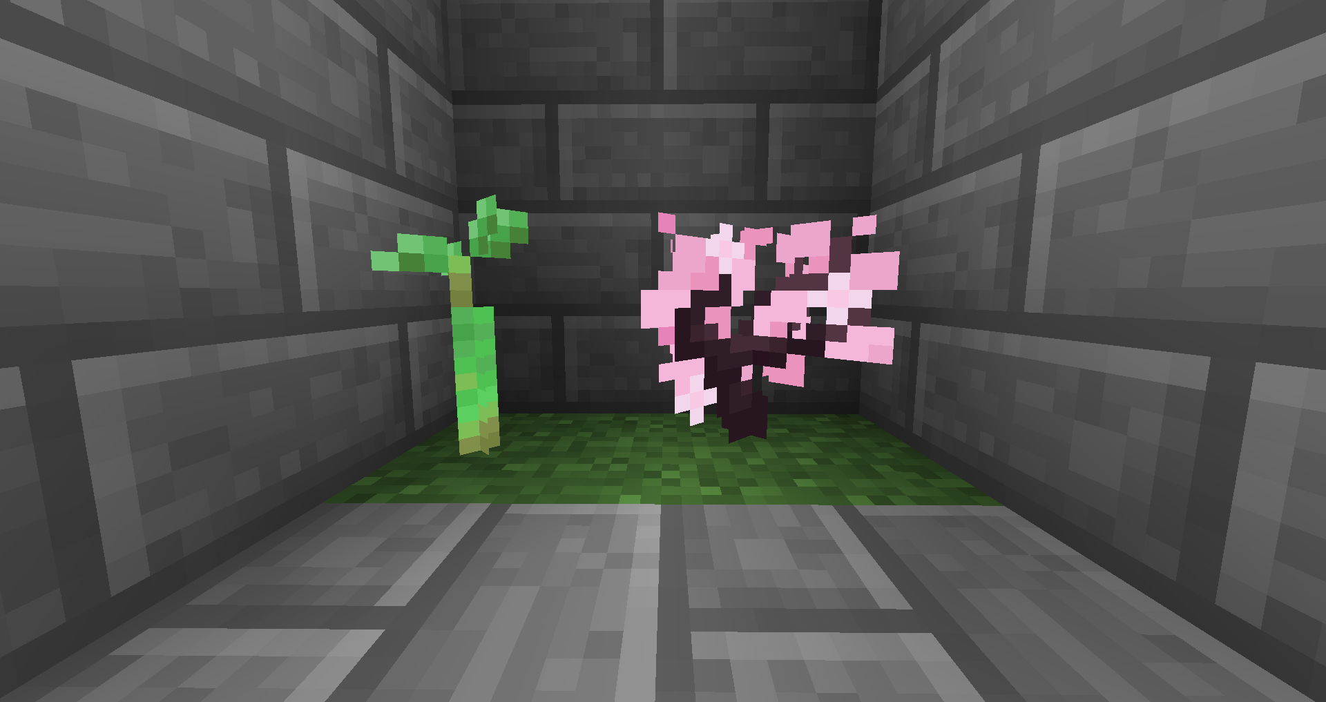 Sapling Update