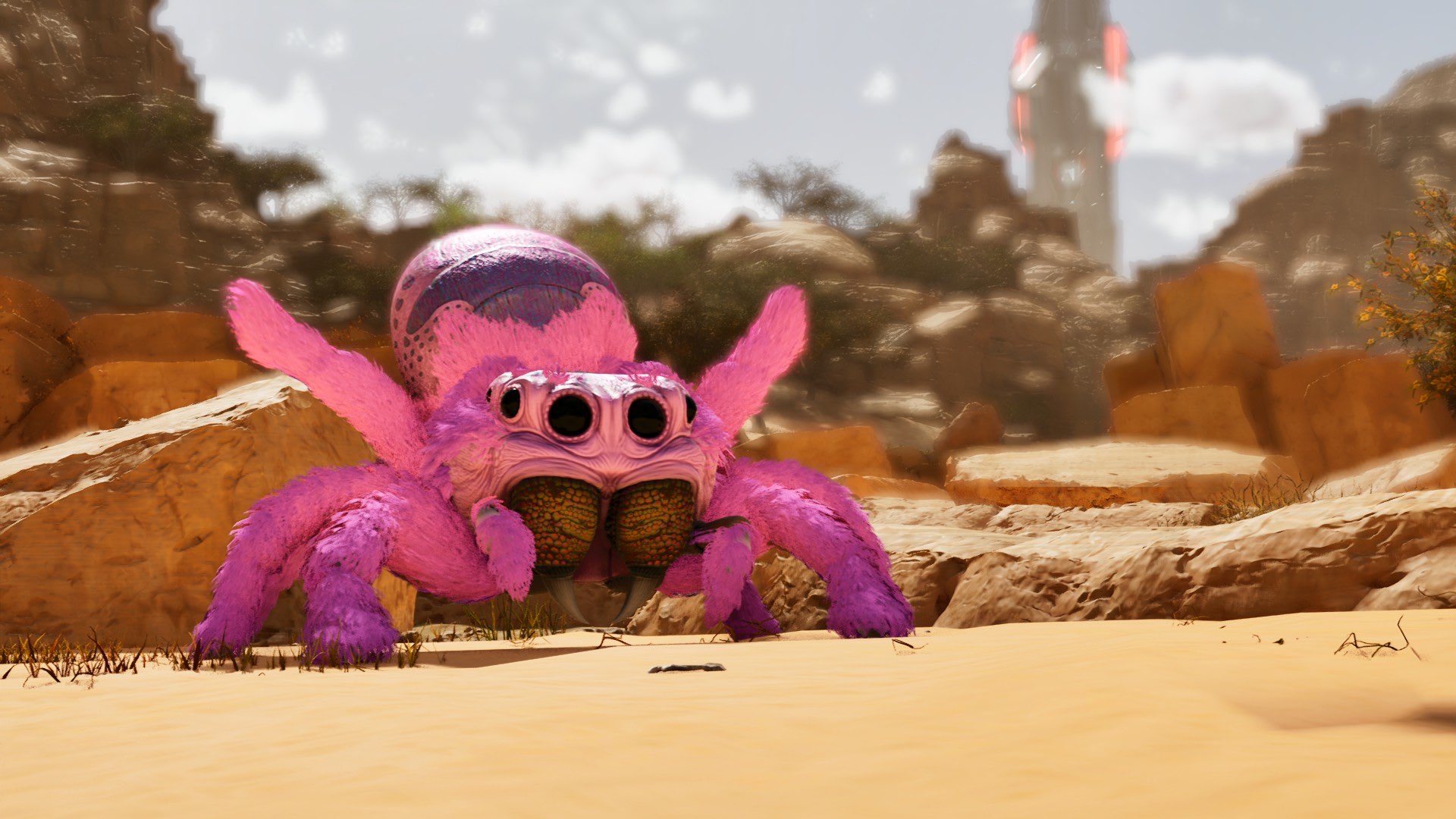 Cyrus' Critters: [Cuter TLC] Jumping Spider - Screenshots - Ark ...