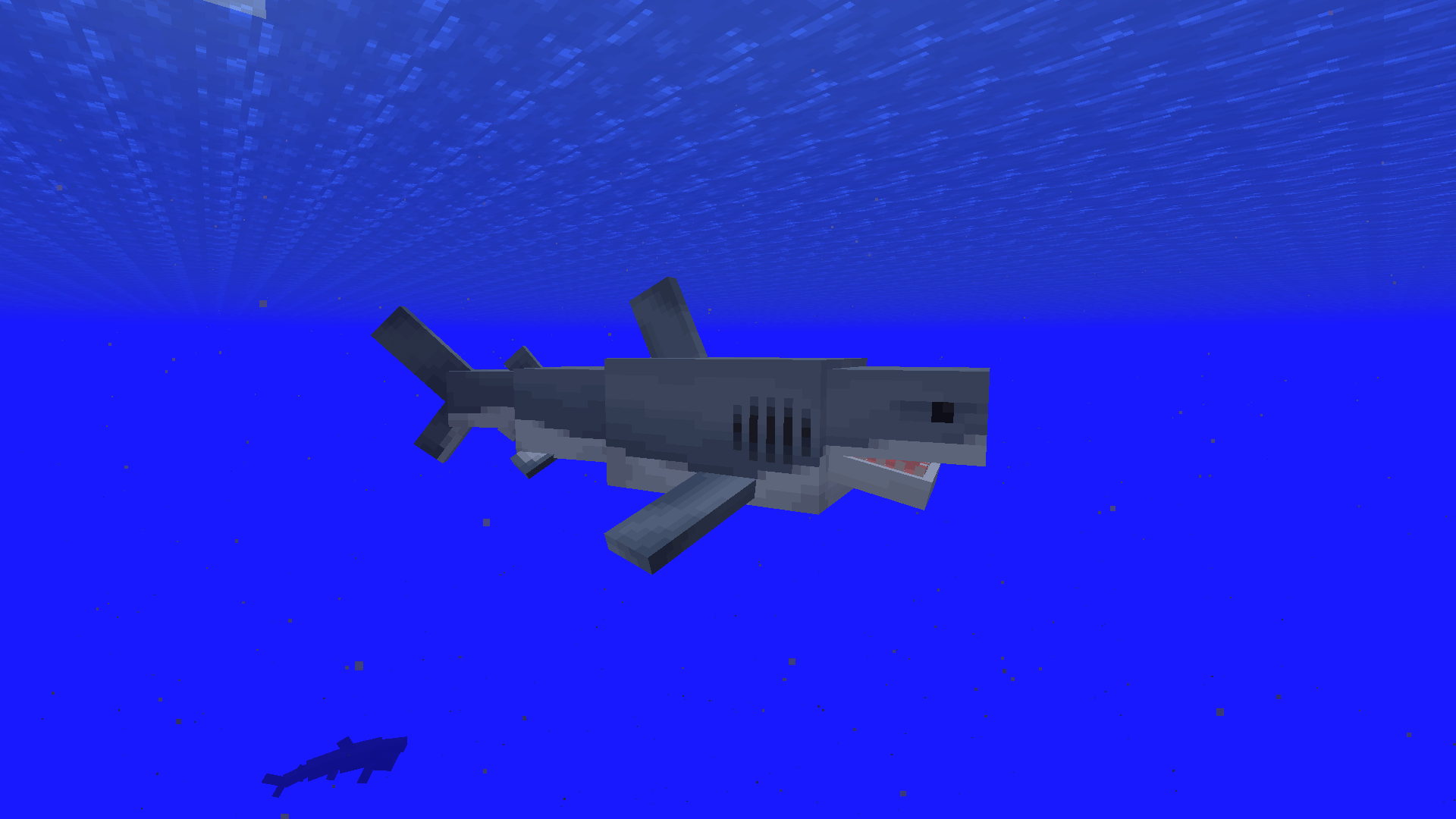 Great White Shark