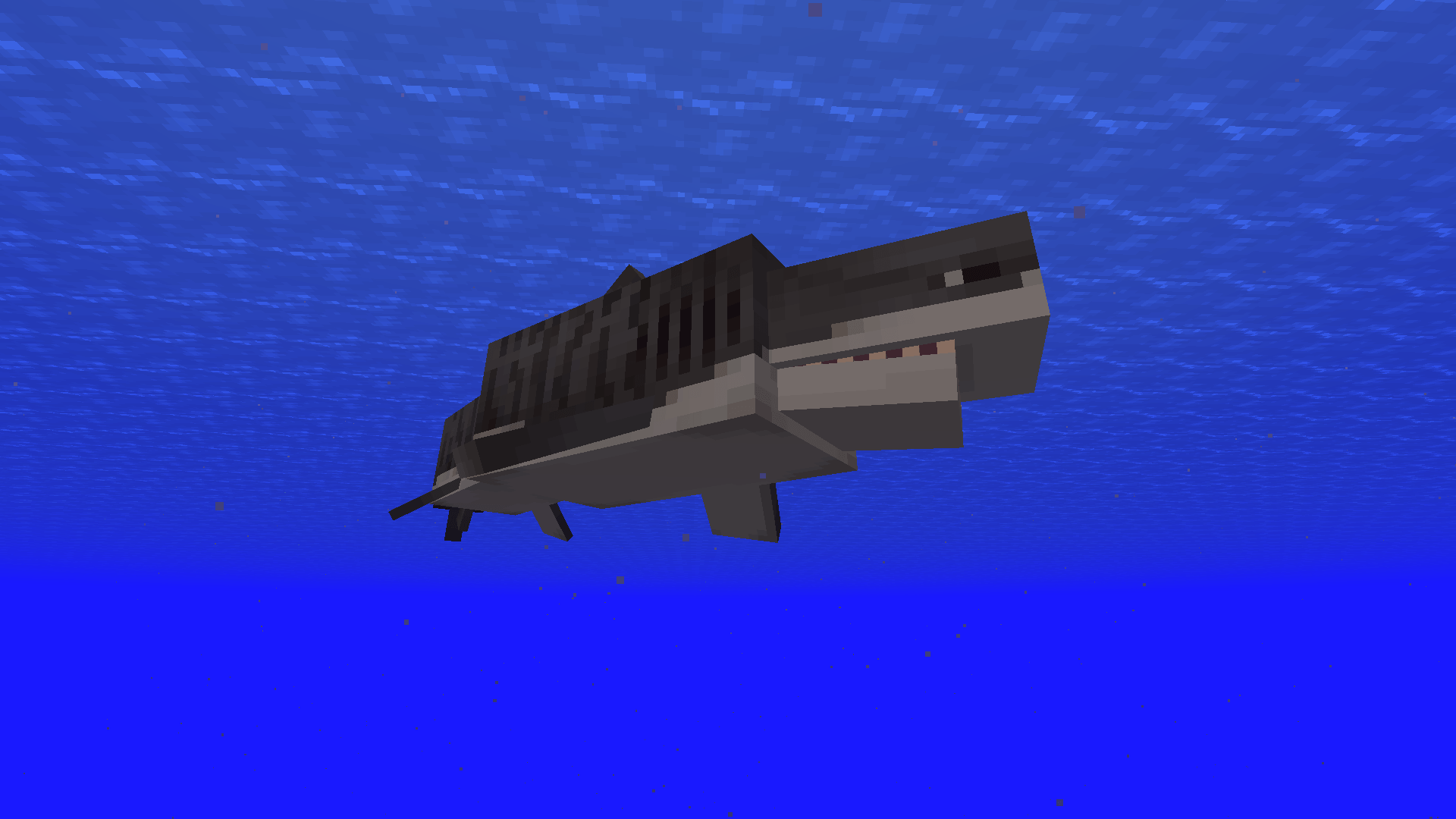 Tiger Shark