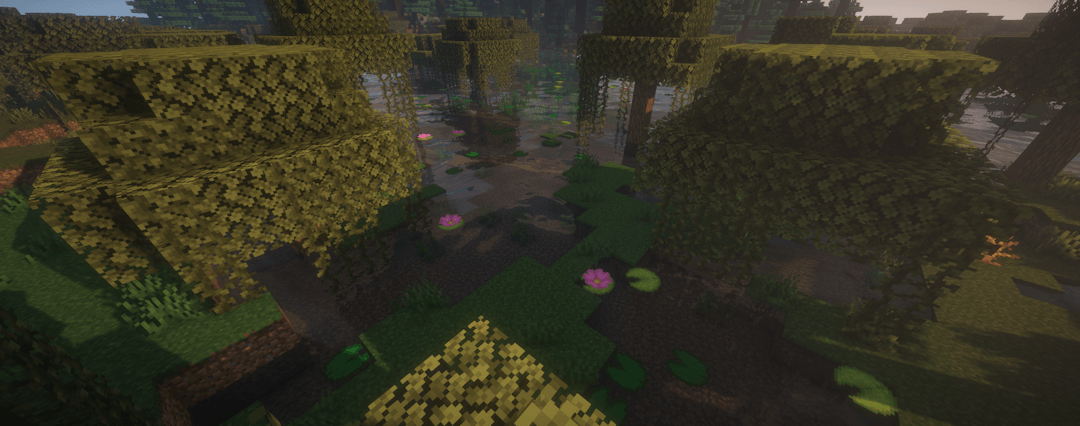 The new water lilies in vavs 1.2.3
