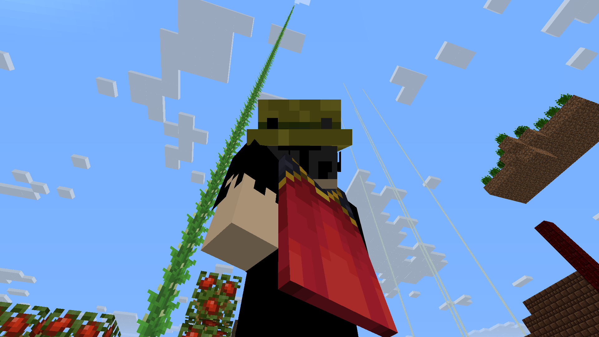 Thumbnail 7:15am - Marvel at bean crop.