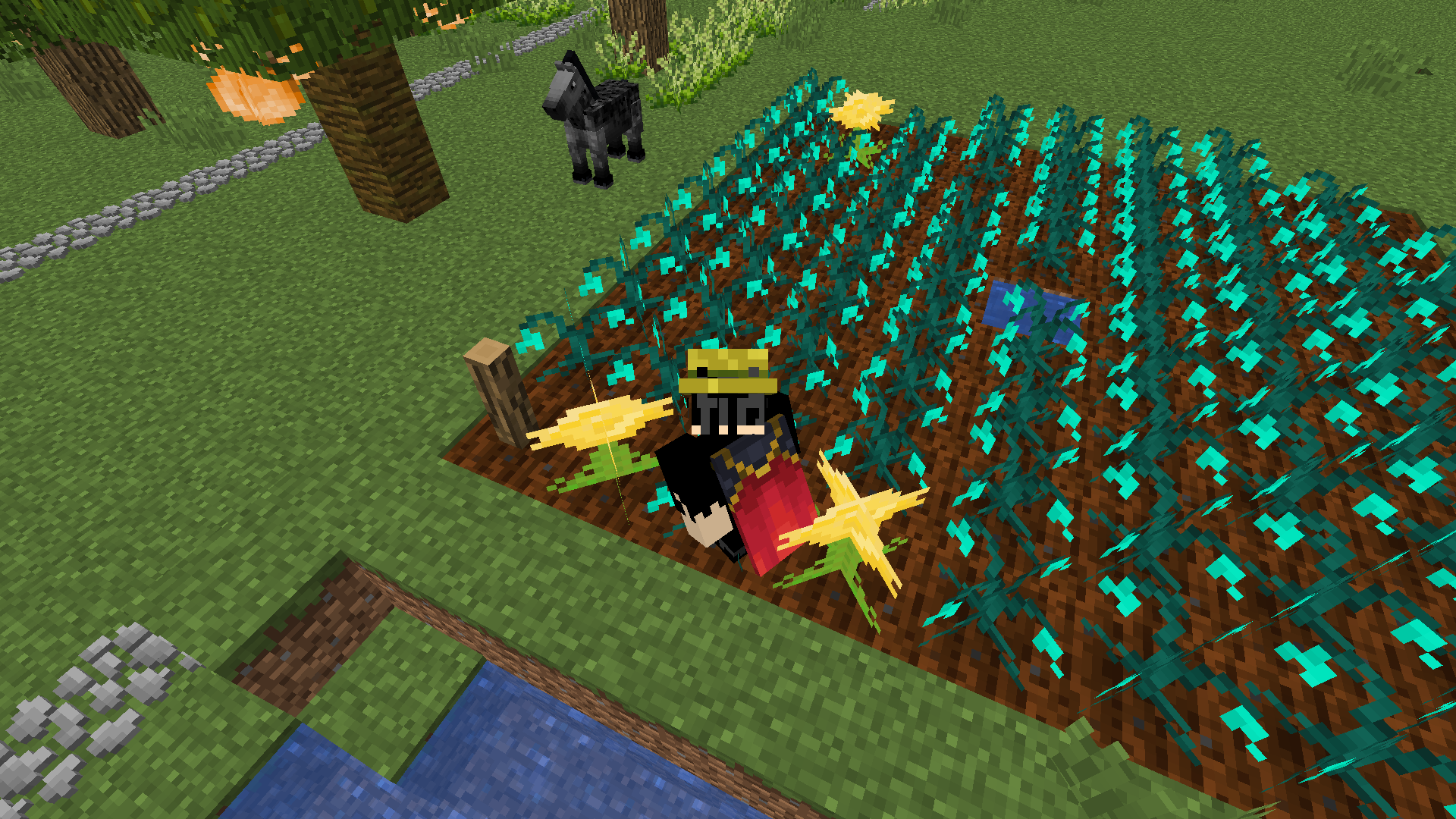 Thumbnail 9:00am - stare down the millennium flower