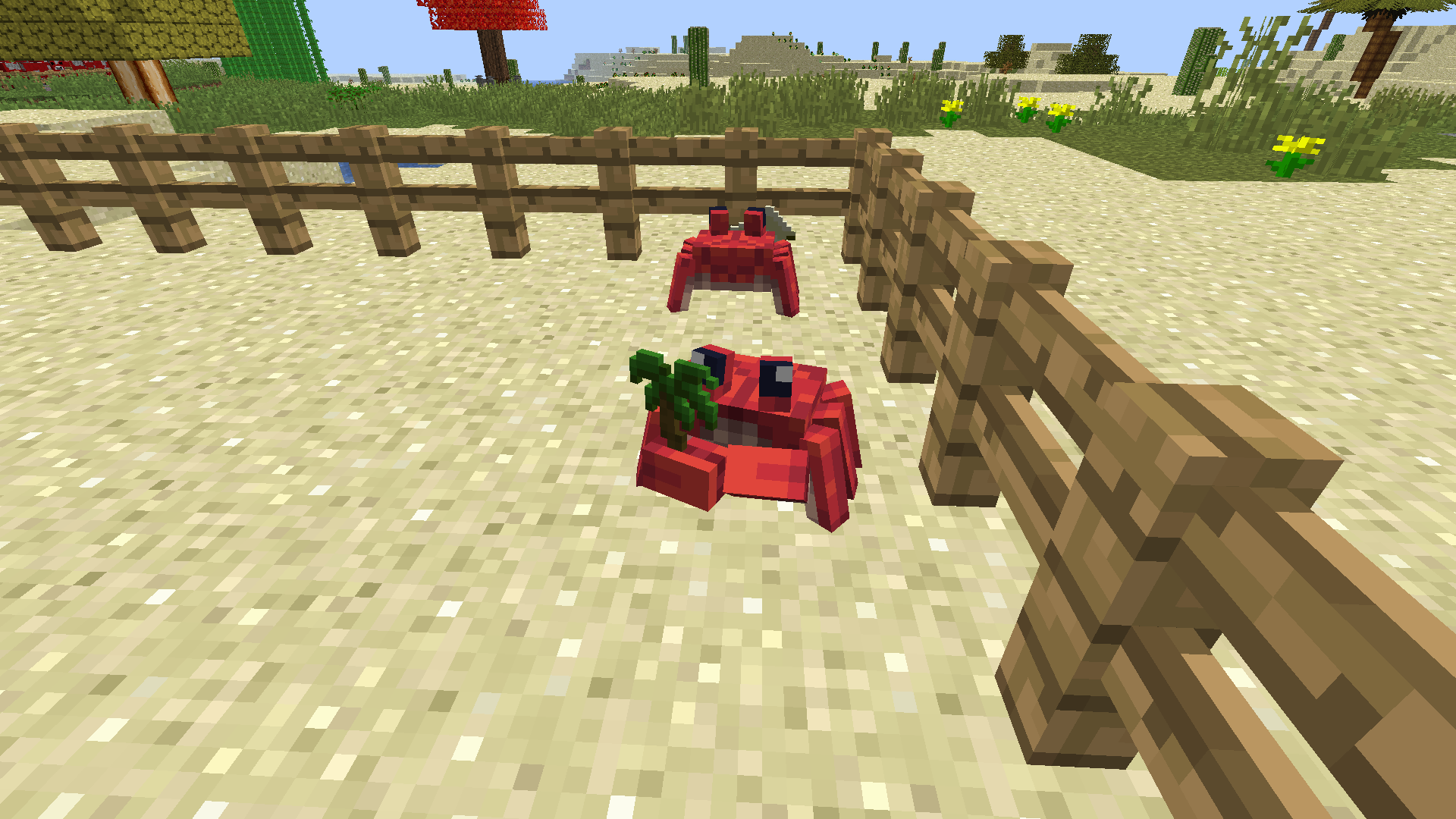 Thumbnail 9:30am - Check on the crab pen.