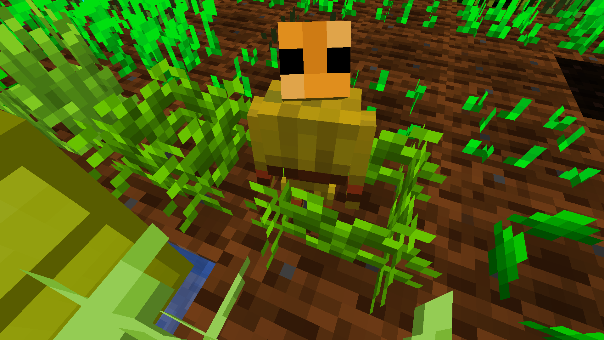 Thumbnail 9:45am - Thank the farmhand.