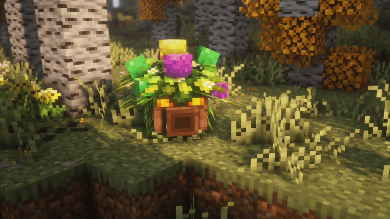 Forest Mojo