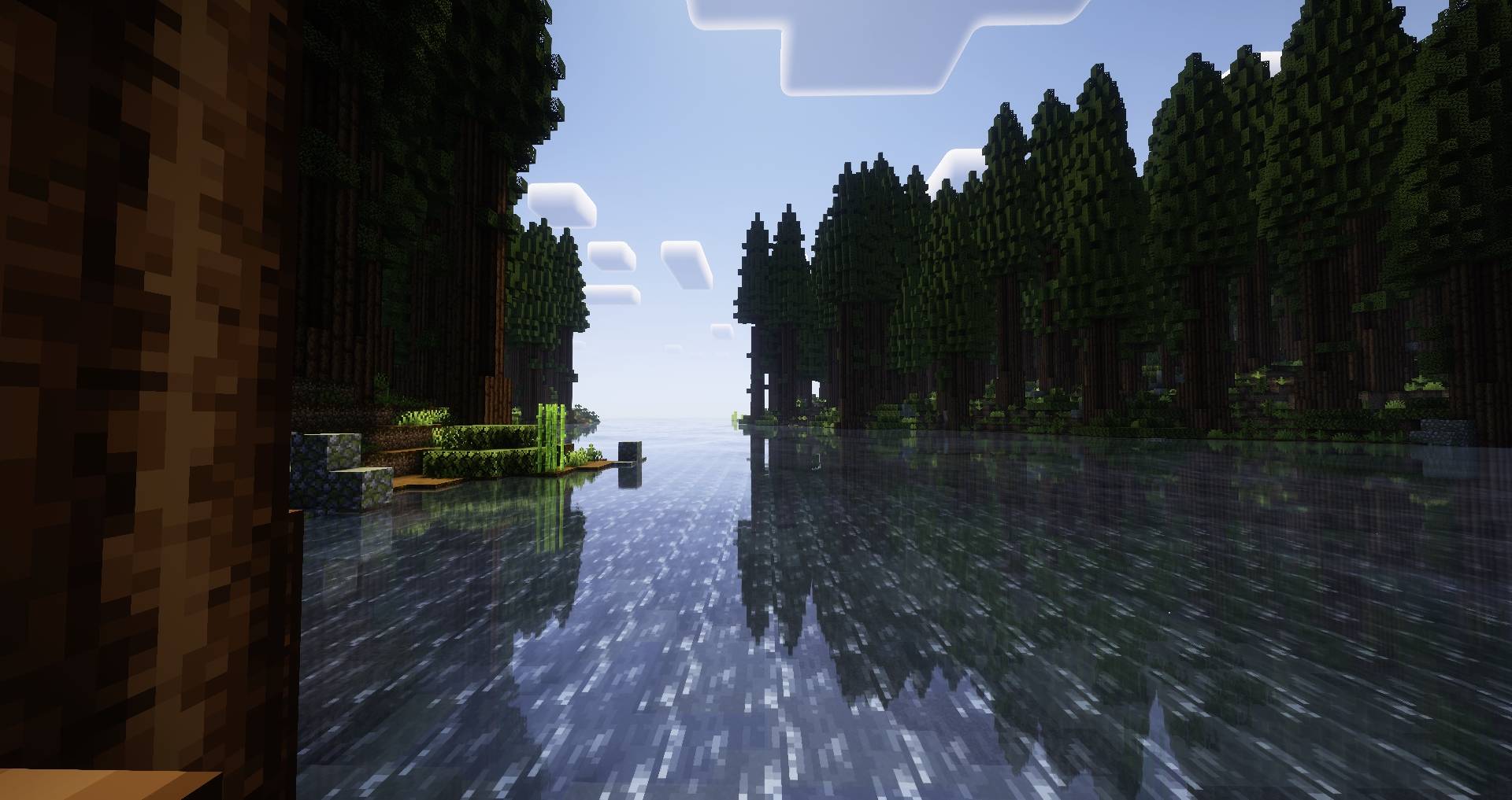 Thumbnail Beautiful Scenery of a river in the middle of a redwood forest