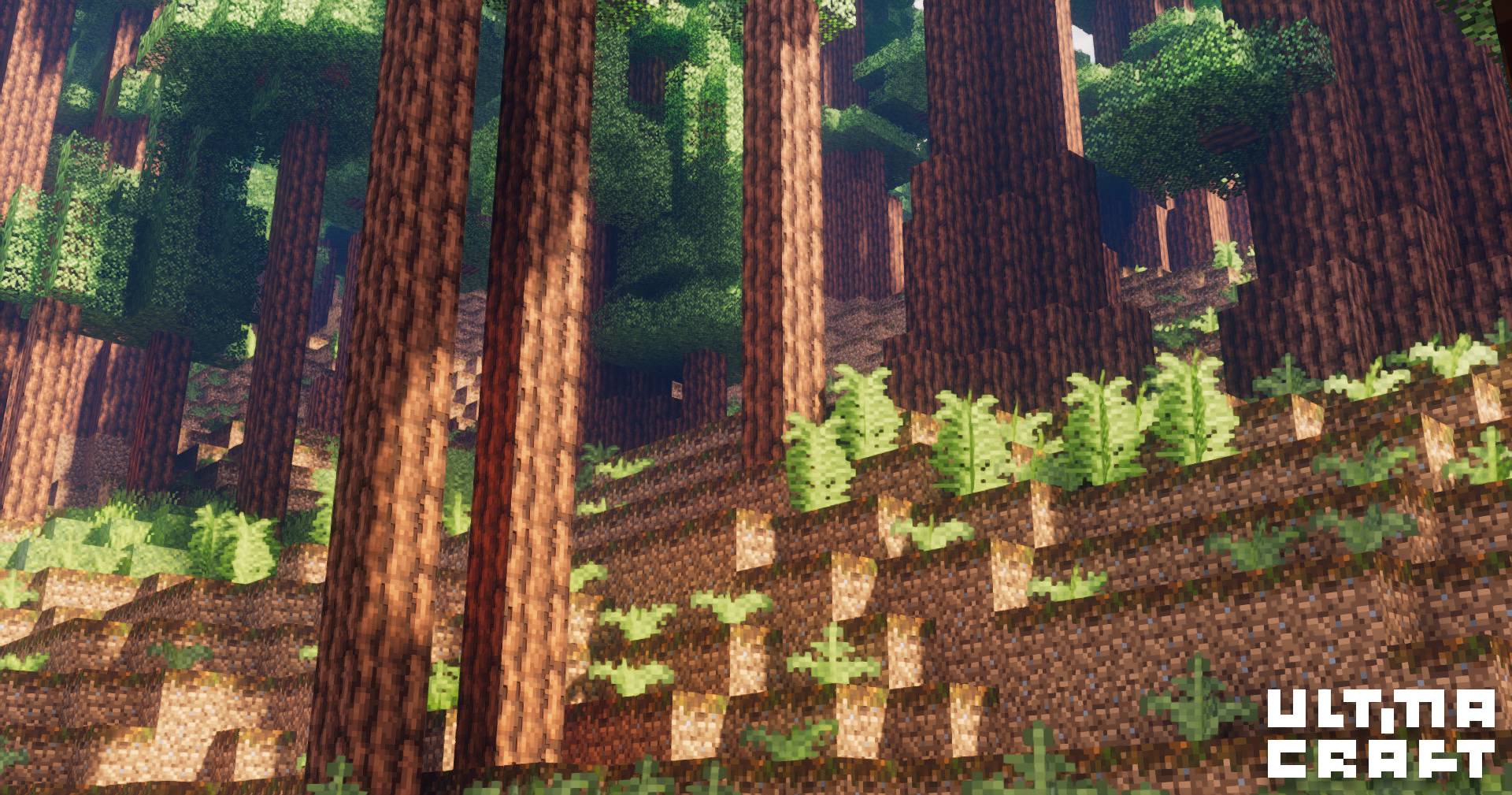 Biomes O' Plenty redforest