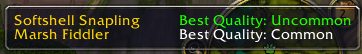 <p>The minimap tooltip</p>