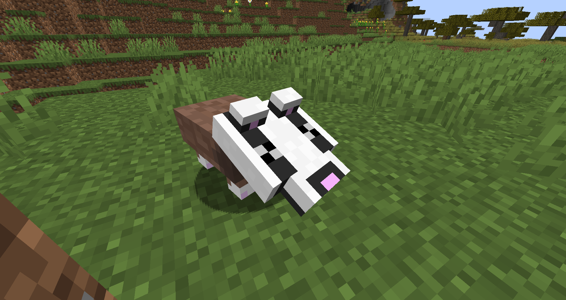 Thumbnail The skunk model is inspreted from Mc Legends