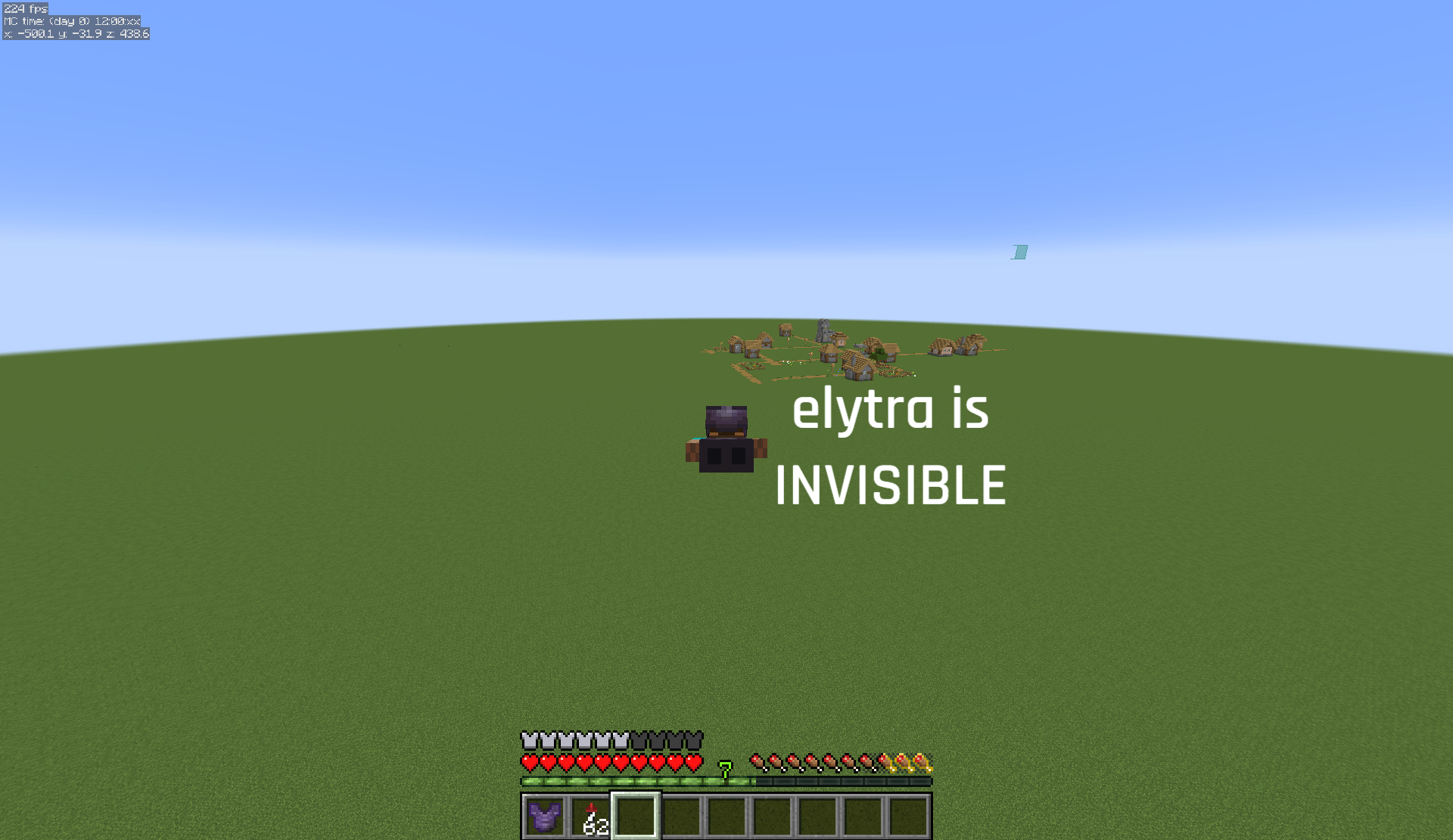 Invisible Elytra