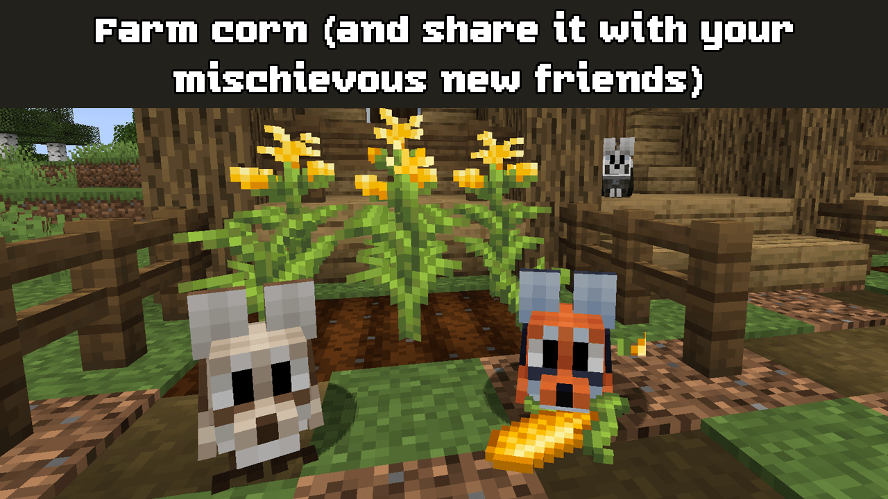 Three foxcrows sit in front of a house, which has corn growing in front of it.  The caption reads "Farm corn (and share it with your mischievous new friends)"