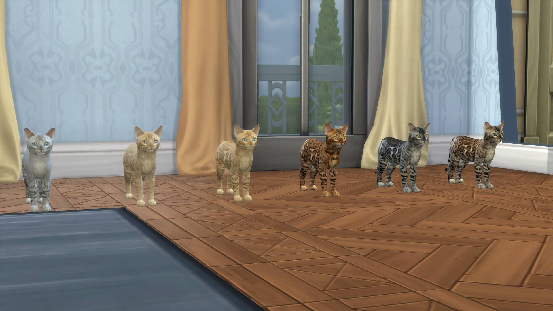 Bengal 1.jpg