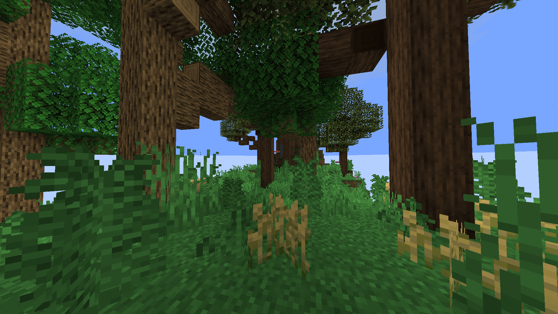 Trees