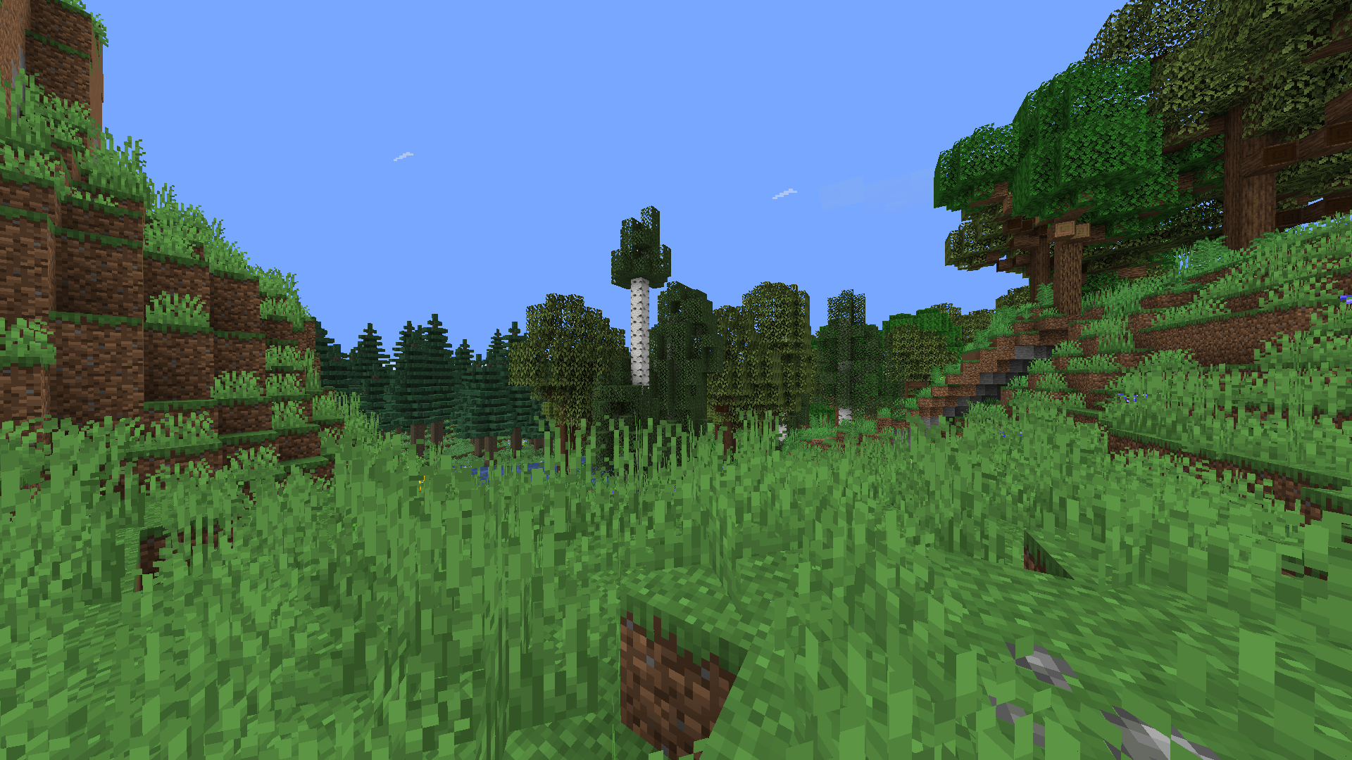 Grass land with a forest