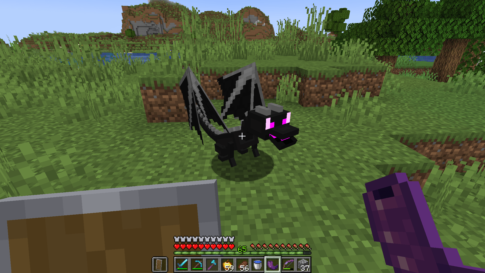 Tamed baby ender dragon