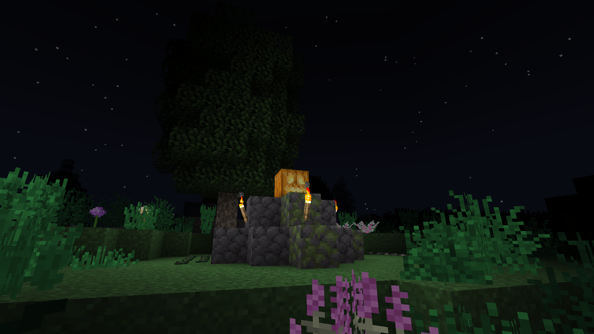 Thumbnail 2024-06-11_00.56.18.png