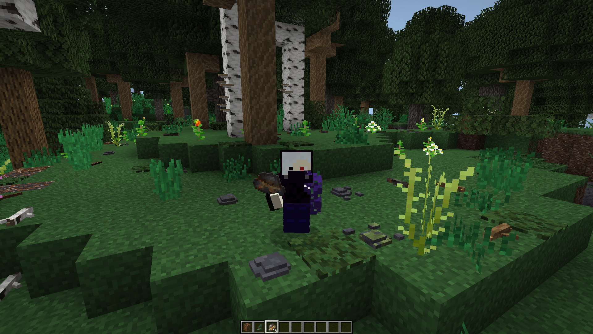 Thumbnail 2024-06-11_02.48.00.png