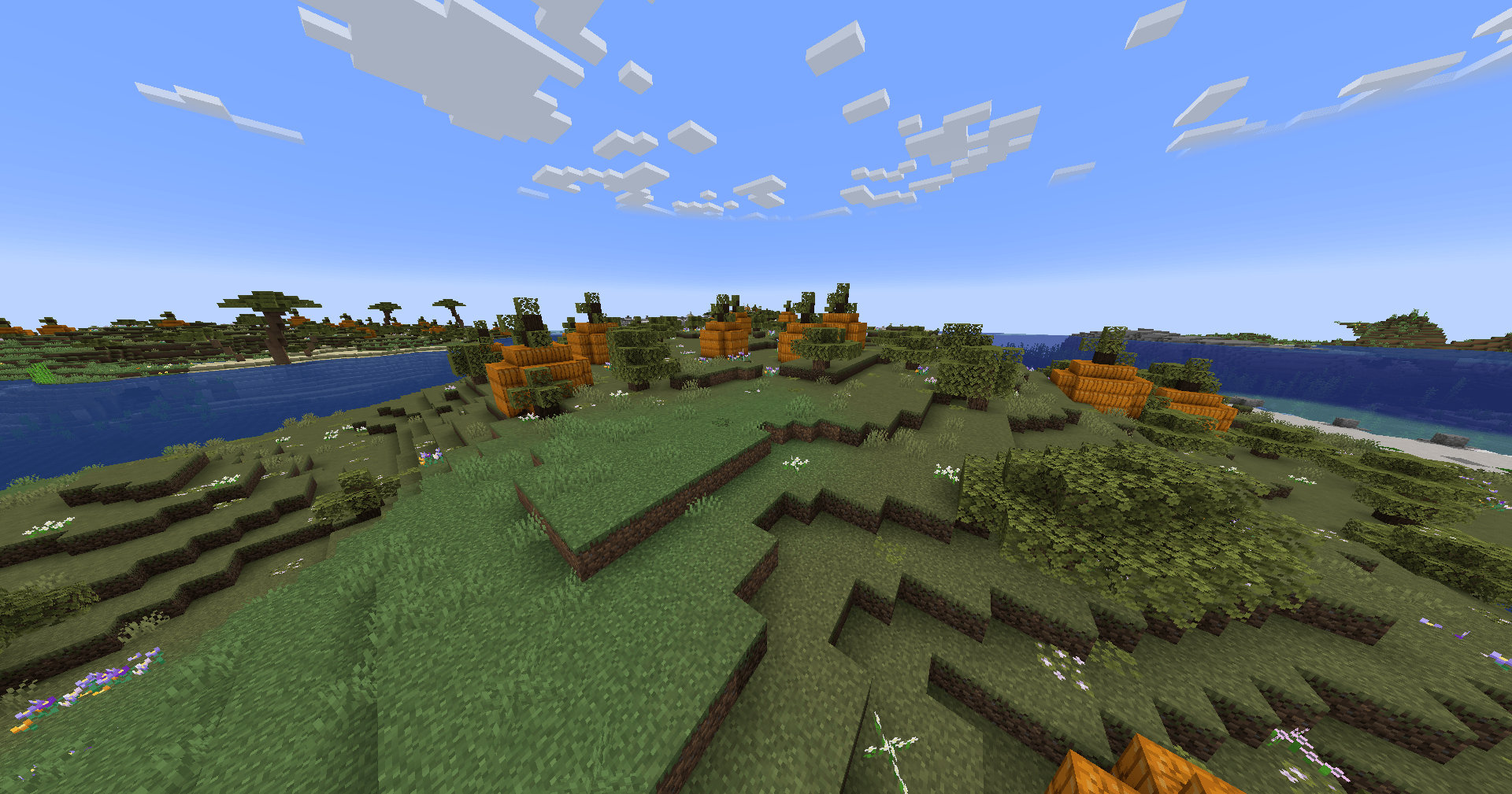 Screenshot thumbnail