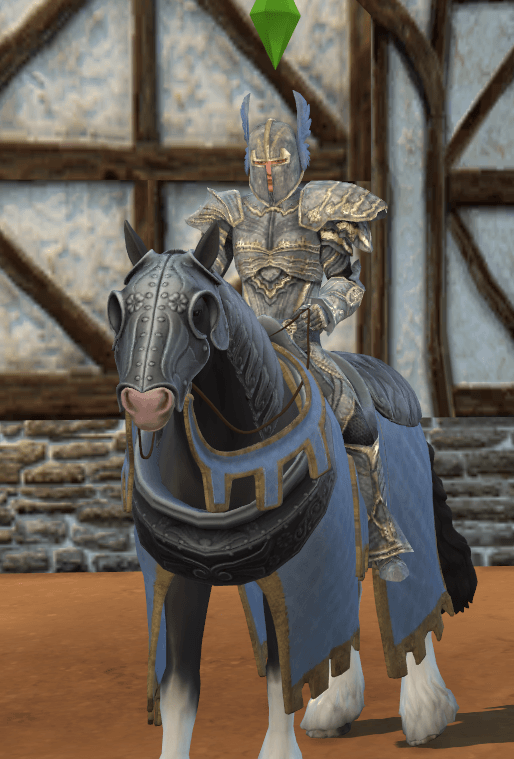 Thumbnail Matching horse attire available
