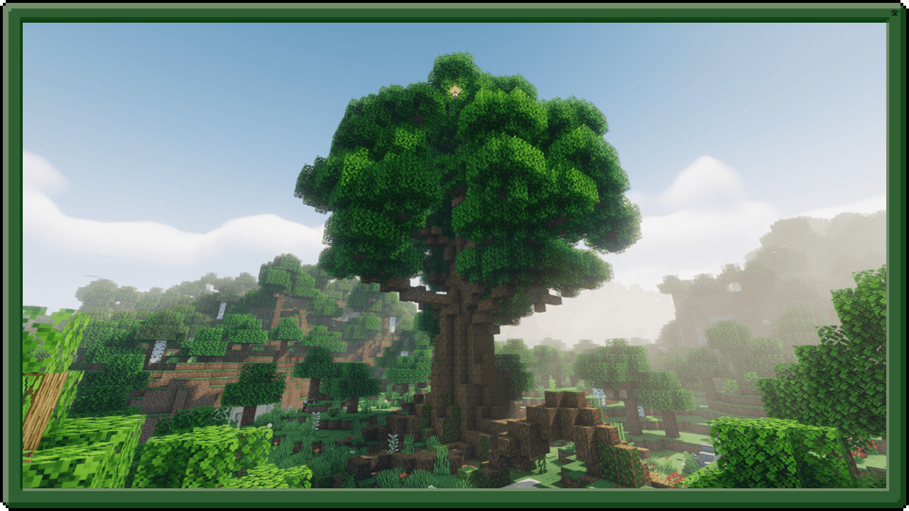 Giant Oak Tree