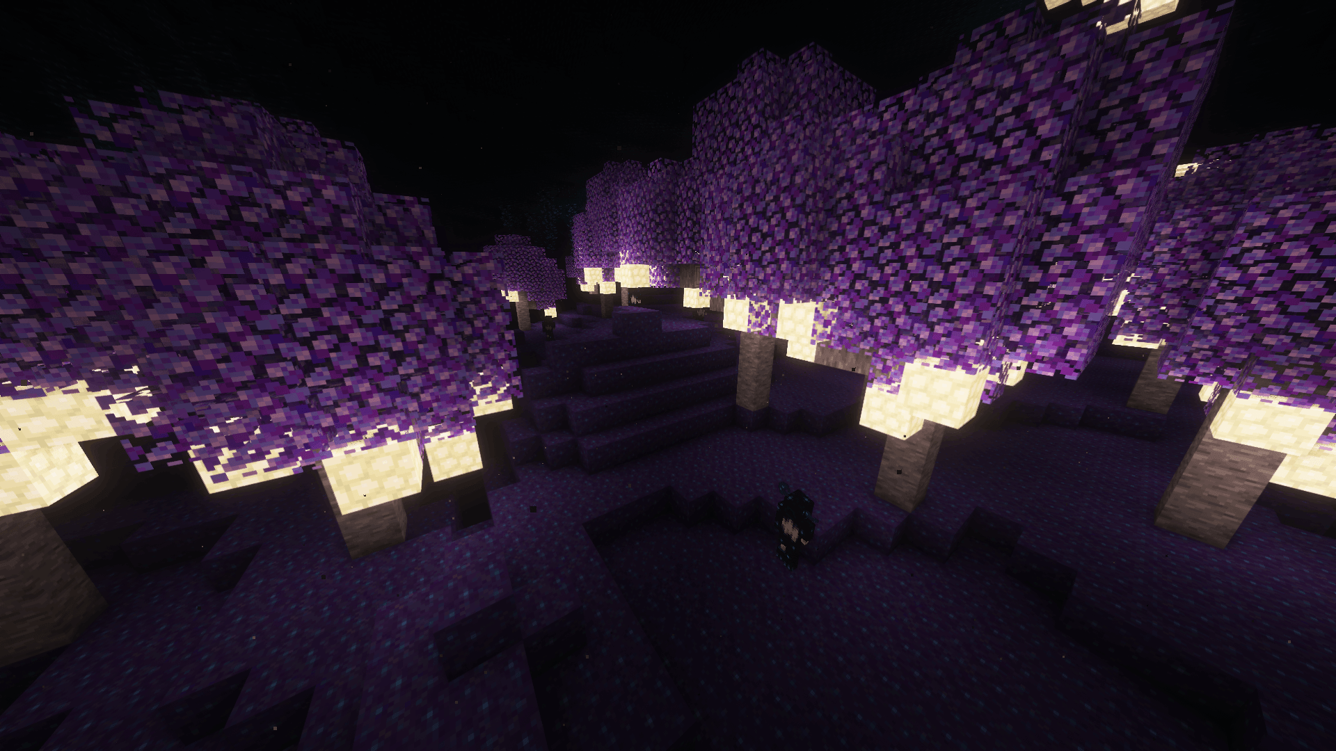 Thumbnail 2024-06-19_13.00.17.png