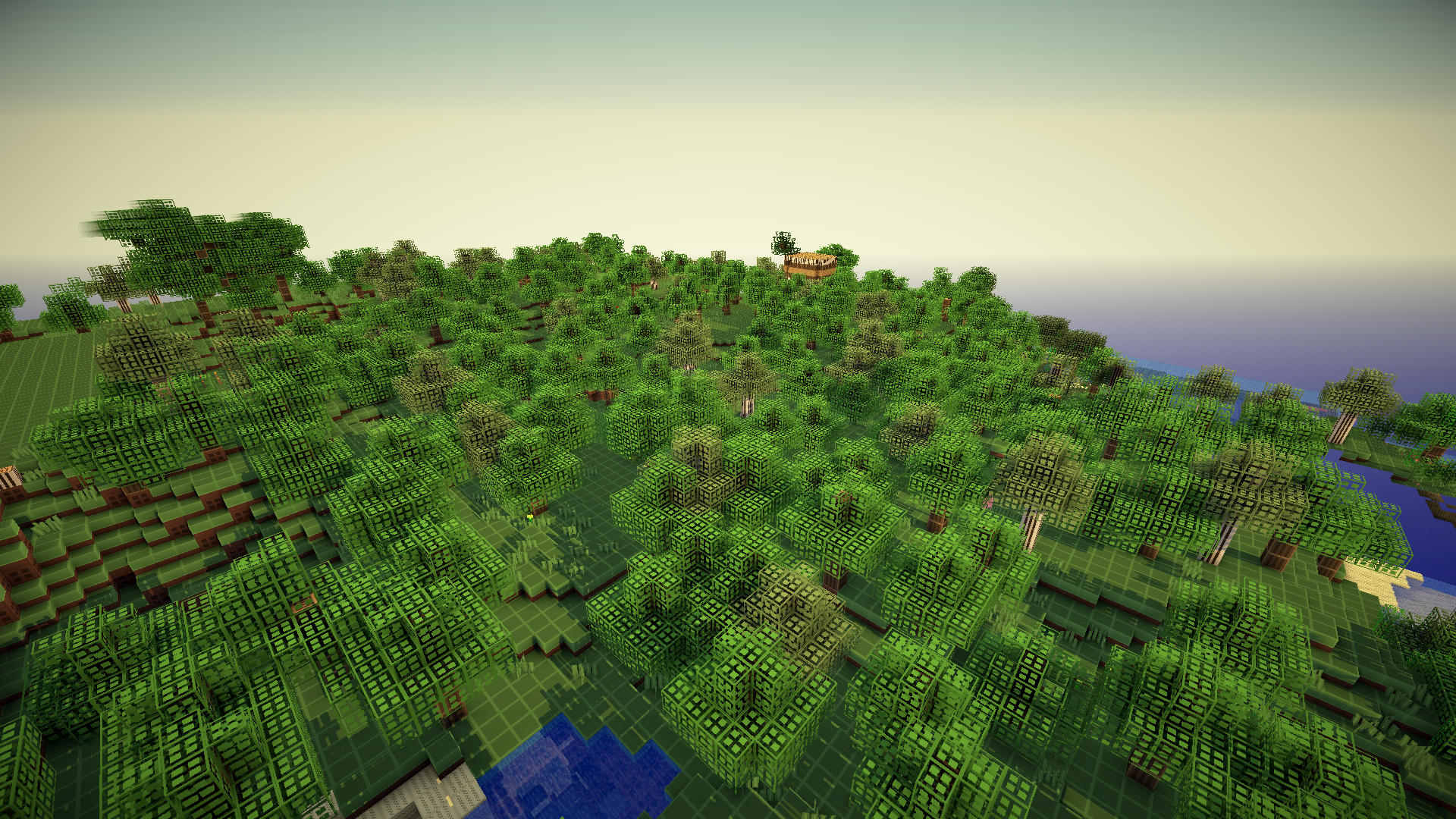 Forest Biome