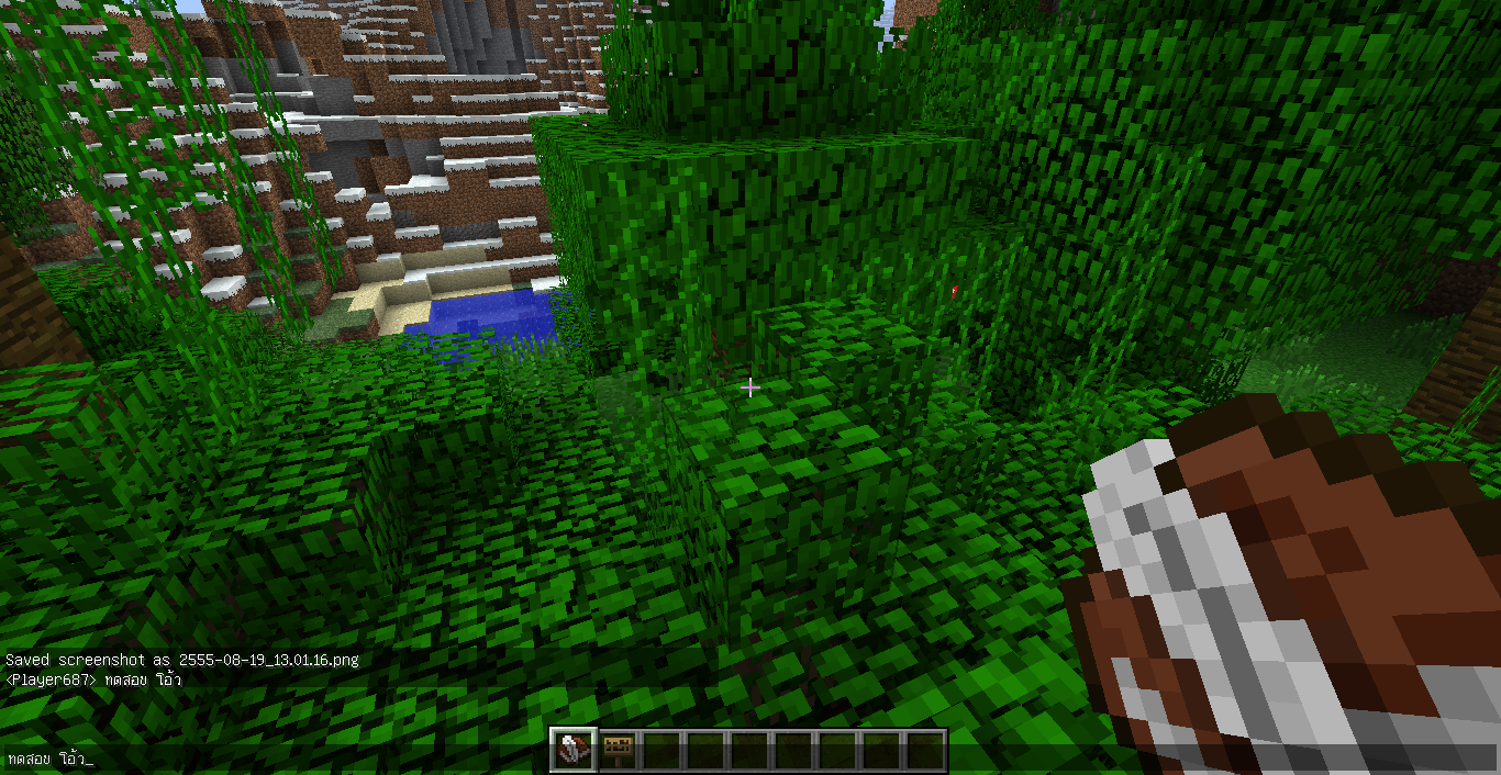 from Minecraft 1.3.2 #4