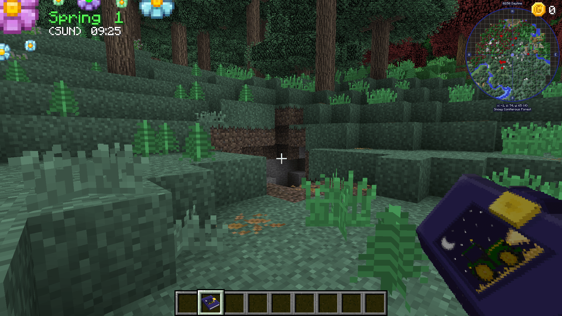 In-game screenshot