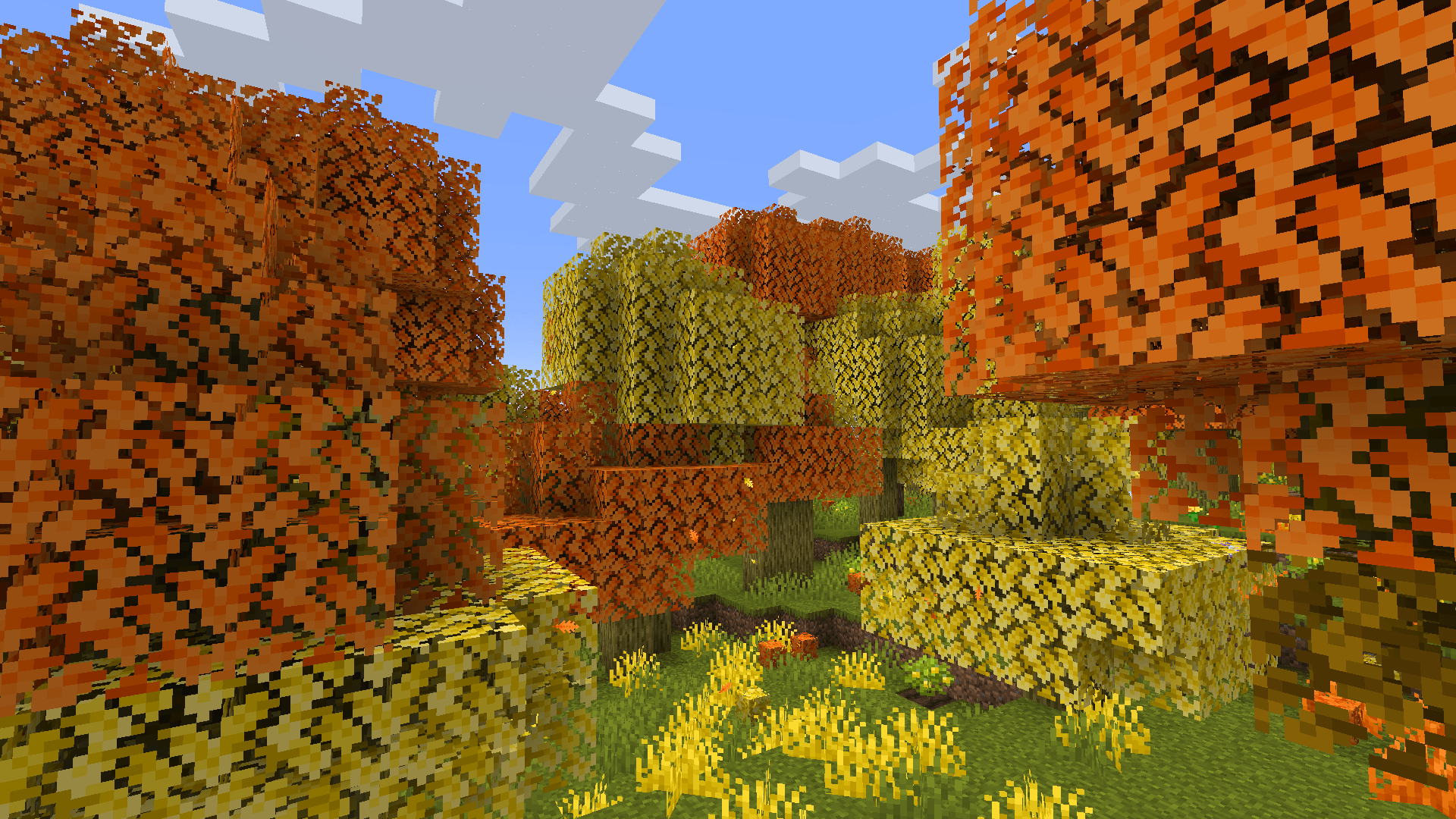The Cubeberry Forest
