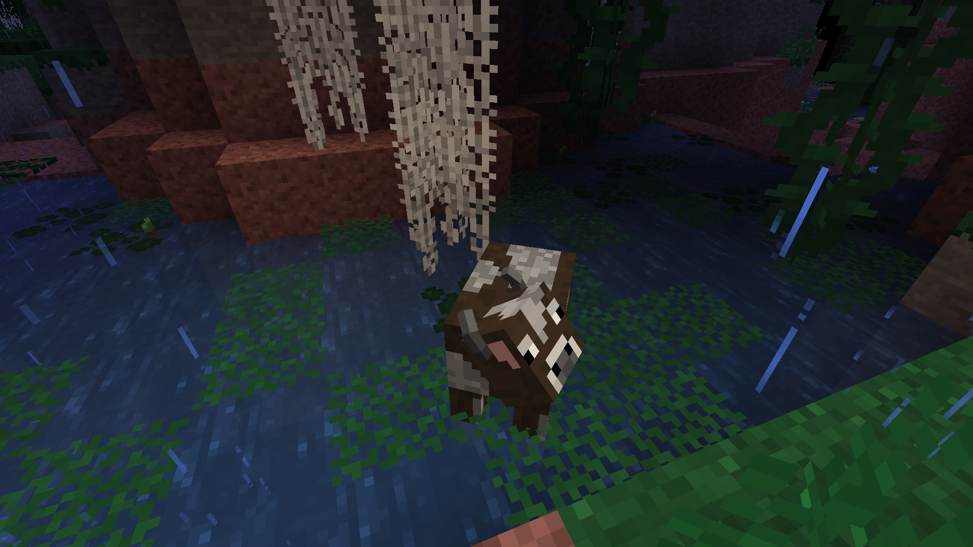 Thumbnail 2024-06-27_01.22.10.png