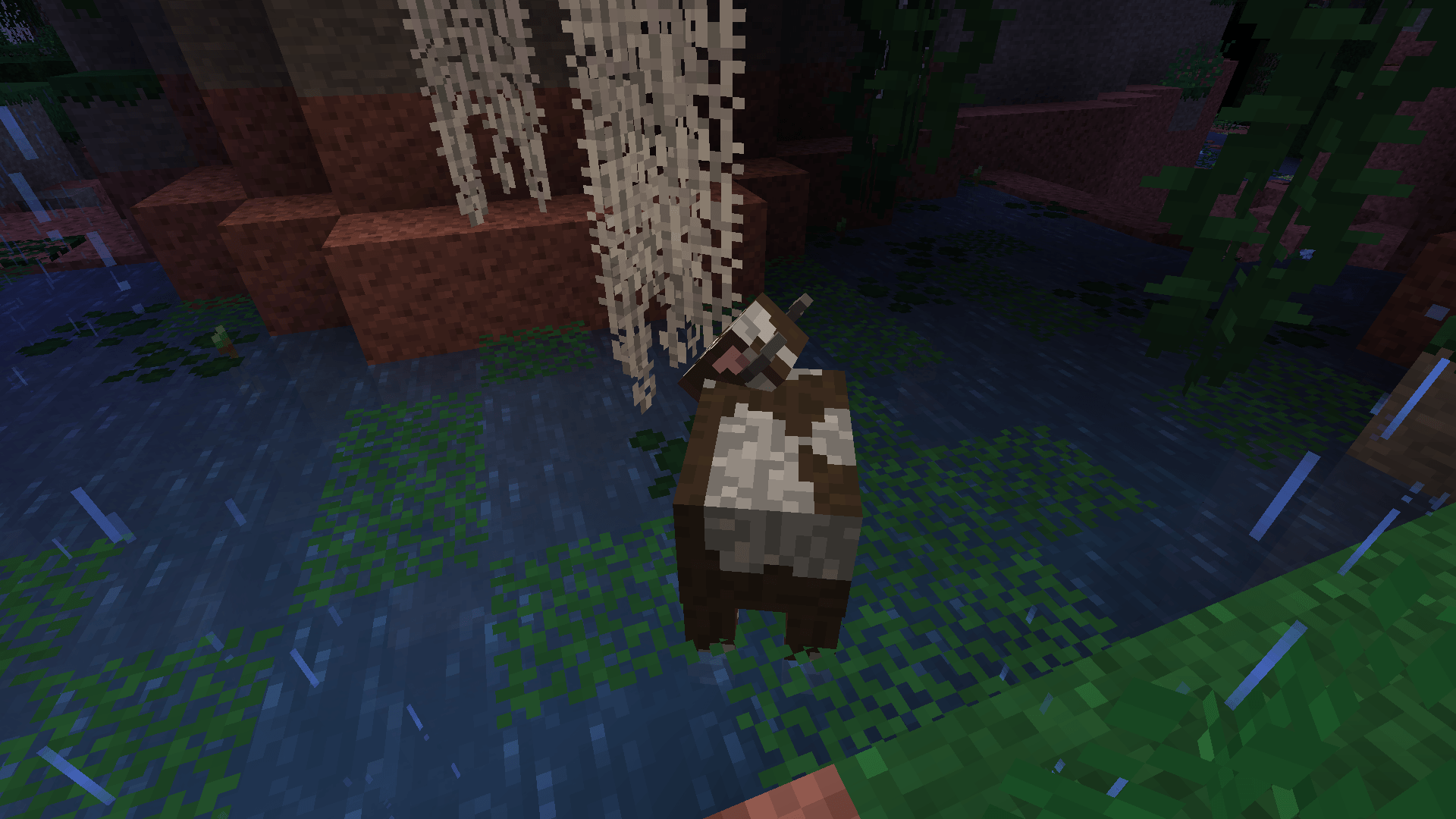 Thumbnail 2024-06-27_01.22.10_3.png