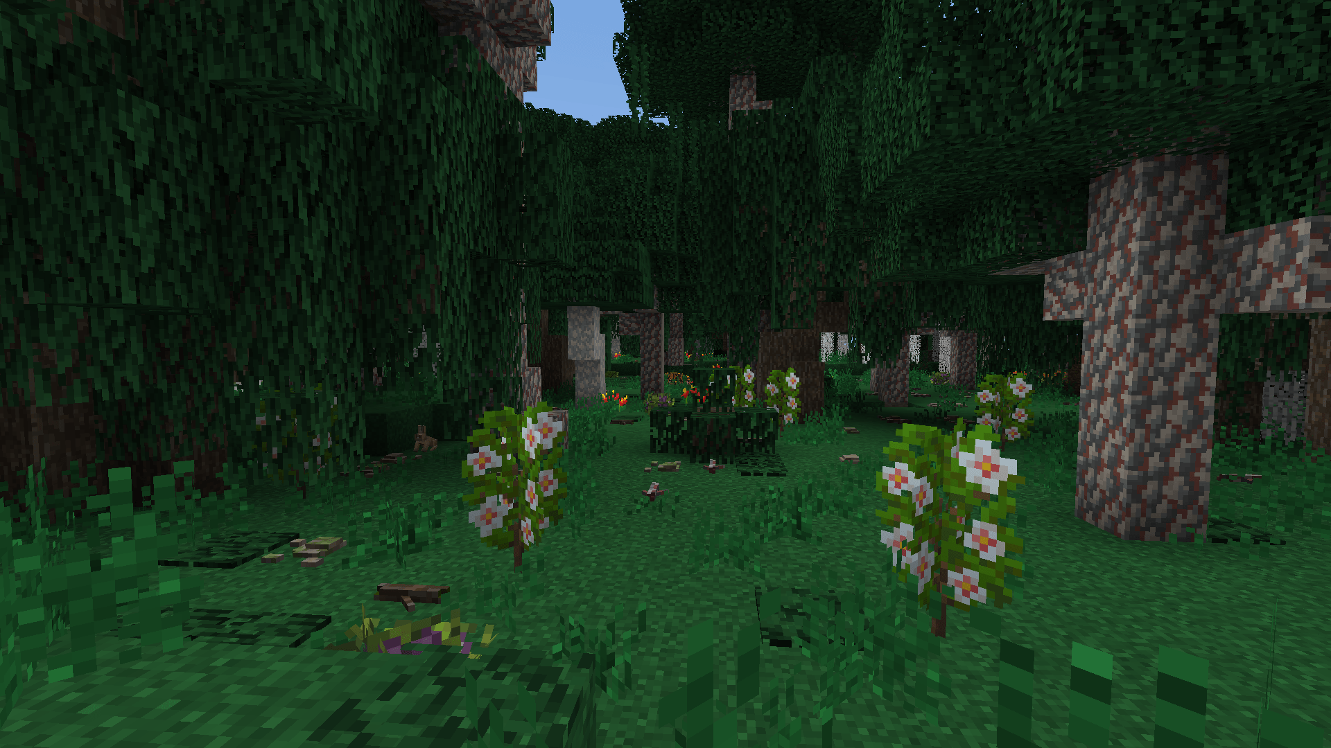 Thumbnail 2024-06-27_01.36.27.png