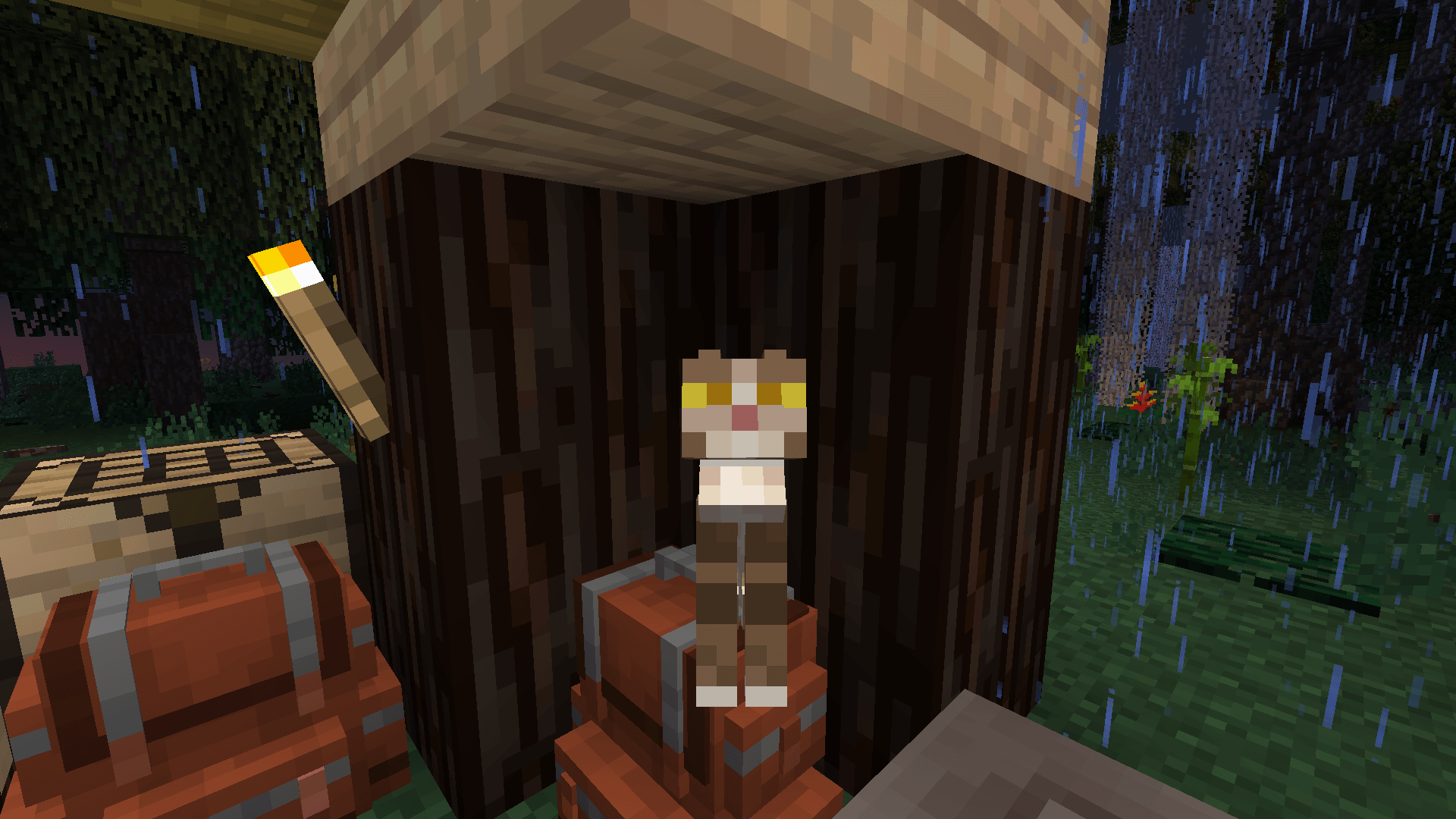 Thumbnail 2024-06-29_13.11.46.png