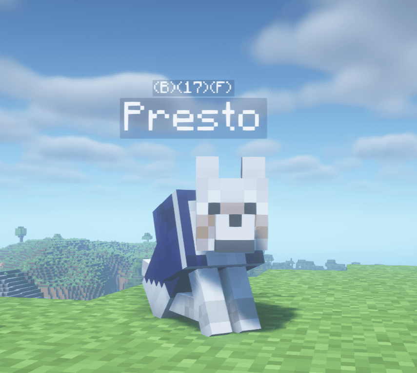 Presto The Minecraft Dog